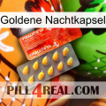Golden Night Capsule new01